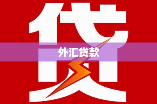 驻马店外汇贷款