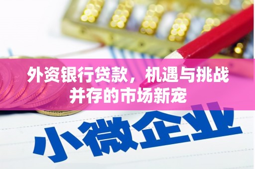红原外资银行贷款，机遇与挑战并存的市场新宠