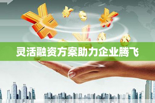 稻城灵活融资方案助力企业腾飞