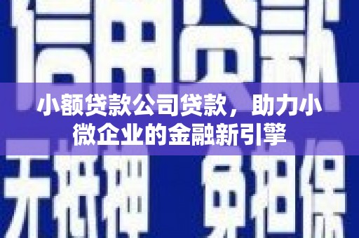 施甸小额贷款公司贷款，助力小微企业的金融新引擎