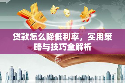大名贷款怎么降低利率，实用策略与技巧全解析