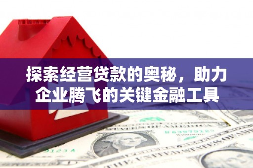 拉孜探索经营贷款的奥秘，助力企业腾飞的关键金融工具