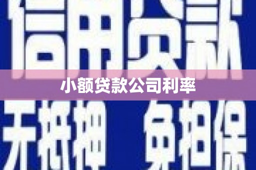惠山小额贷款公司利率