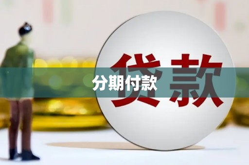 龙游分期付款