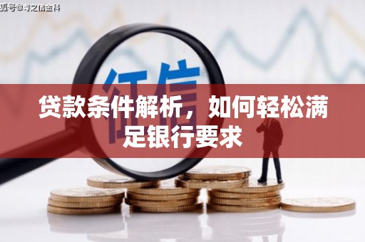 阿莲贷款条件解析，如何轻松满足银行要求
