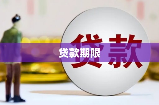 红星贷款期限