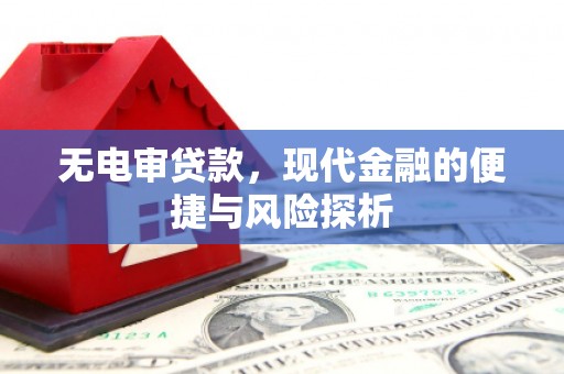 颍上无电审贷款，现代金融的便捷与风险探析