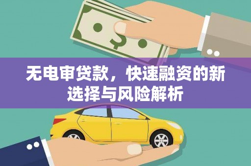 西峡无电审贷款，快速融资的新选择与风险解析
