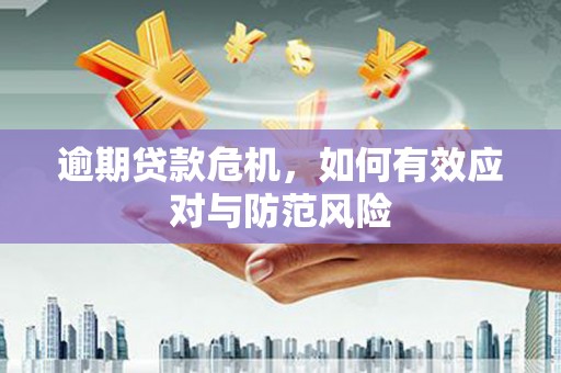 来宾逾期贷款危机，如何有效应对与防范风险