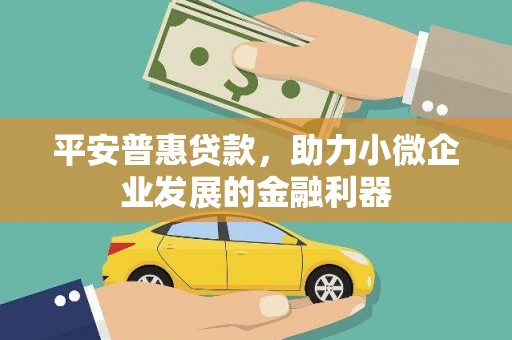 玉山平安普惠贷款，助力小微企业发展的金融利器