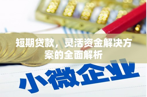 弋阳短期贷款，灵活资金解决方案的全面解析