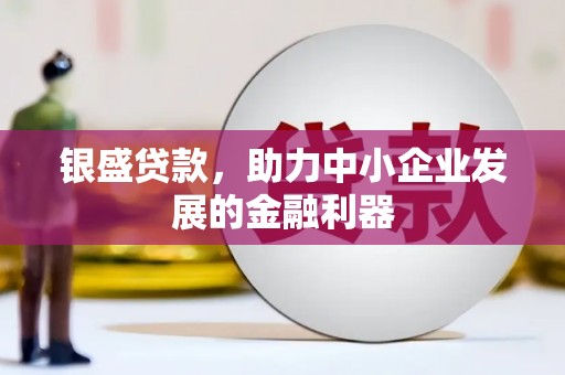 云和银盛贷款，助力中小企业发展的金融利器