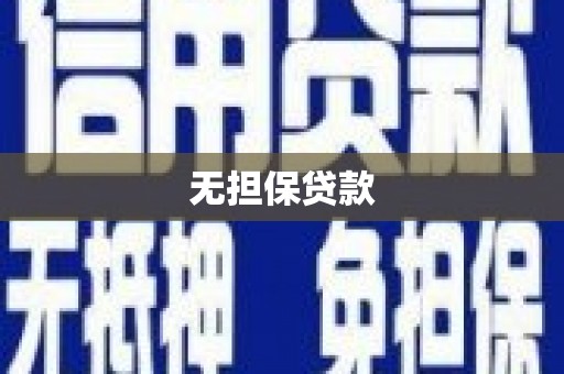 新县无担保贷款