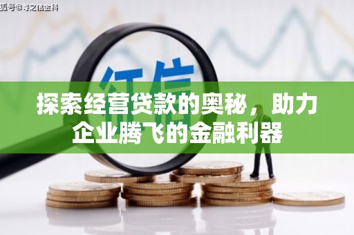 府谷探索经营贷款的奥秘，助力企业腾飞的金融利器