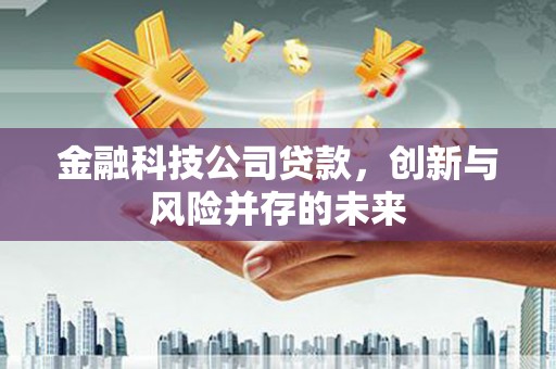 连山金融科技公司贷款，创新与风险并存的未来