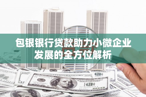 芙蓉包银银行贷款助力小微企业发展的全方位解析 芙蓉包银银行贷款助力小微企业发展的全方位解析