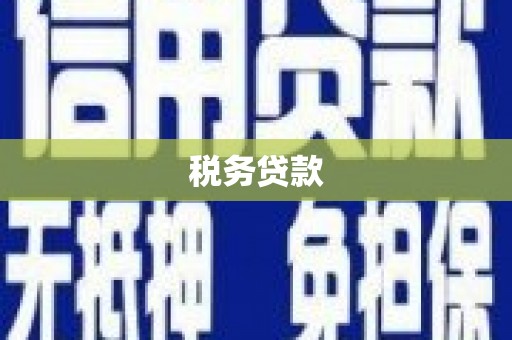 凤岗税务贷款