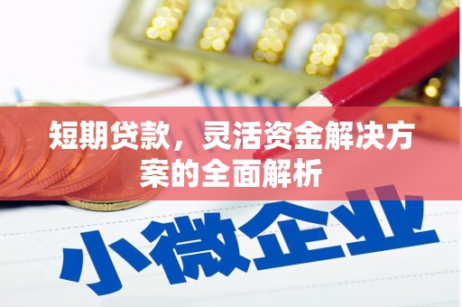 岳麓短期贷款，灵活资金解决方案的全面解析
