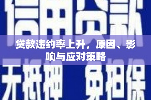 浉河贷款违约率上升，原因、影响与应对策略