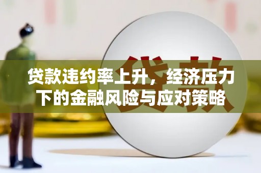 海原贷款违约率上升，经济压力下的金融风险与应对策略