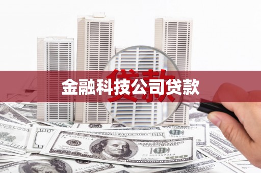 玉树金融科技公司贷款