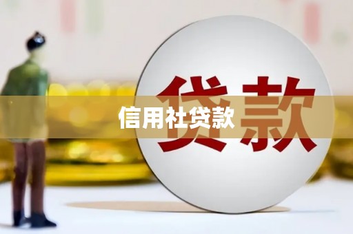 宁国信用社贷款