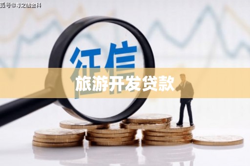 浔阳旅游开发贷款