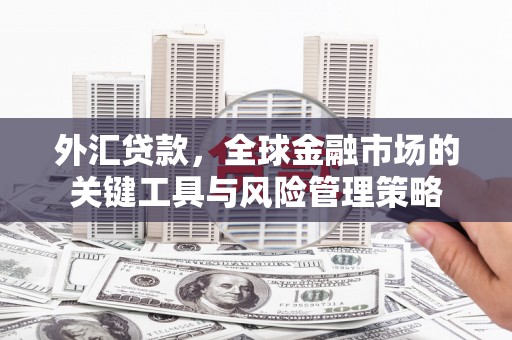 金华外汇贷款，全球金融市场的关键工具与风险管理策略