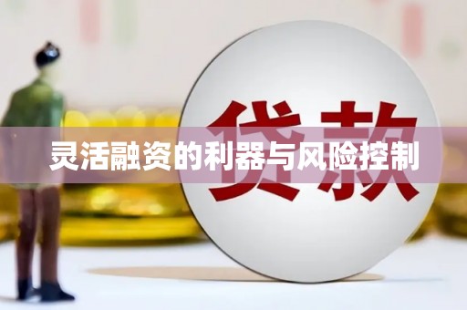昆明灵活融资的利器与风险控制