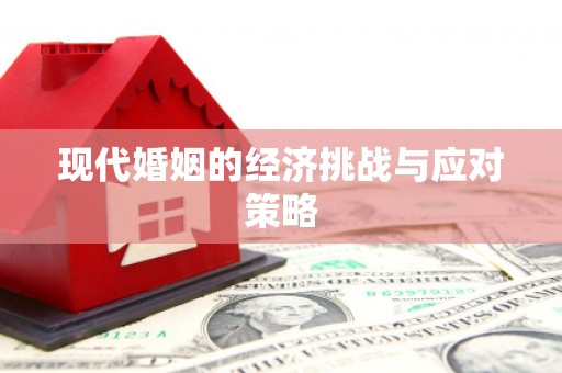 无极现代婚姻的经济挑战与应对策略