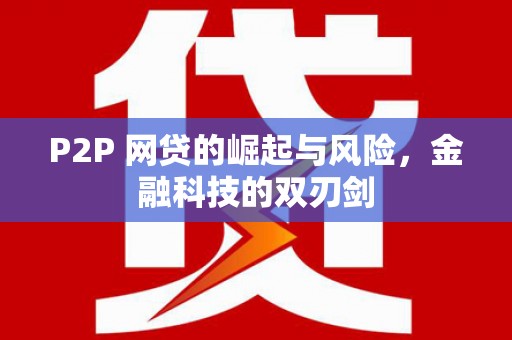 云龙P2P 网贷的崛起与风险，金融科技的双刃剑