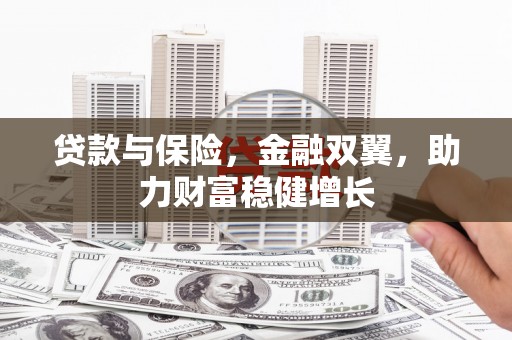 缙云贷款与保险，金融双翼，助力财富稳健增长