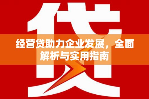 名间经营贷助力企业发展，全面解析与实用指南