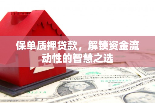 广安保单质押贷款，解锁资金流动性的智慧之选