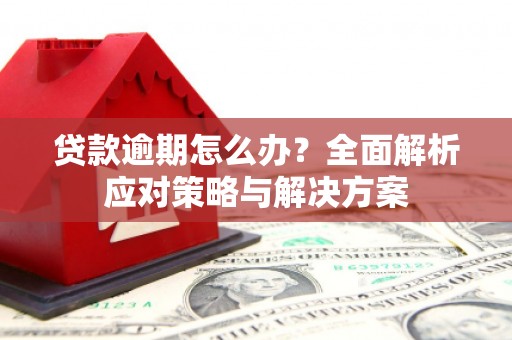 王益贷款逾期怎么办？全面解析应对策略与解决方案