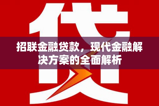 东川招联金融贷款，现代金融解决方案的全面解析