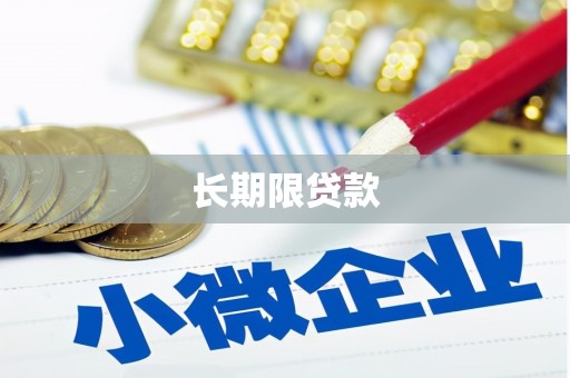 阜康长期限贷款