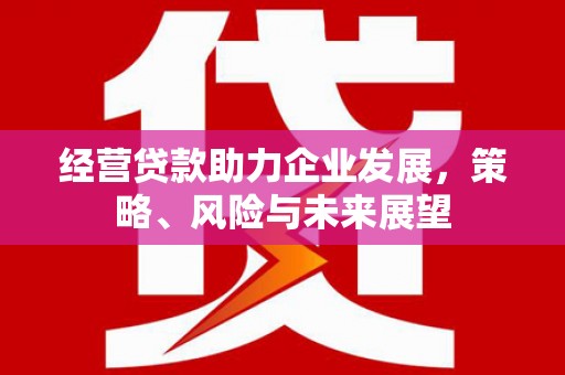盈江经营贷款助力企业发展，策略、风险与未来展望
