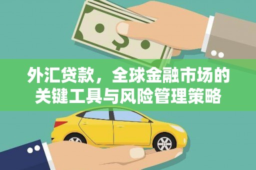 桃城外汇贷款，全球金融市场的关键工具与风险管理策略