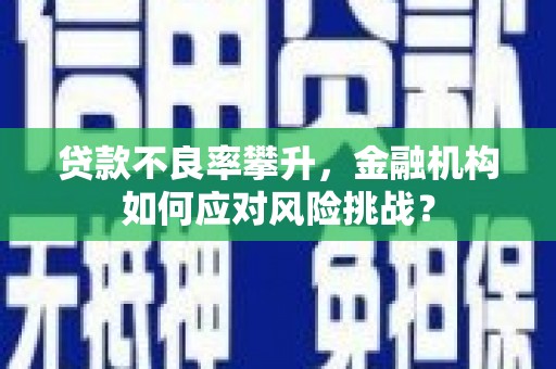 曾都贷款不良率攀升，金融机构如何应对风险挑战？
