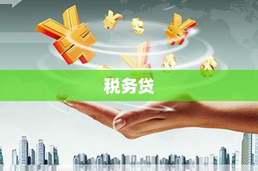淮上税务贷
