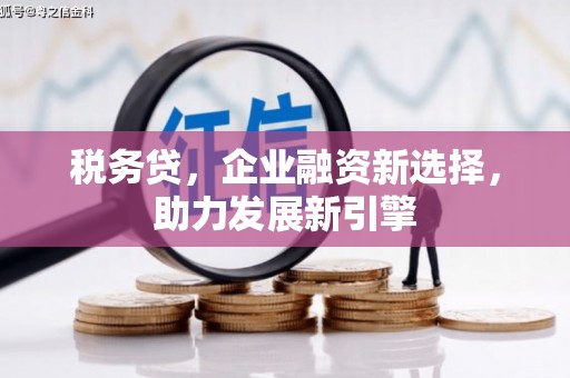 二水税务贷，企业融资新选择，助力发展新引擎