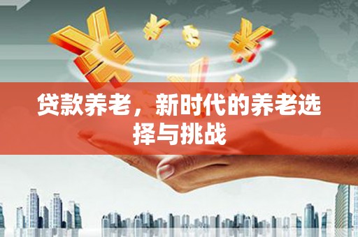 平果贷款养老，新时代的养老选择与挑战