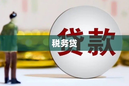 巩义税务贷