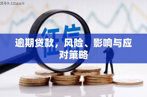 国姓逾期贷款，风险、影响与应对策略