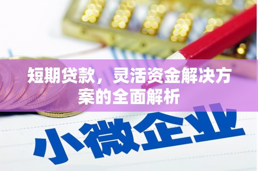 永胜短期贷款，灵活资金解决方案的全面解析