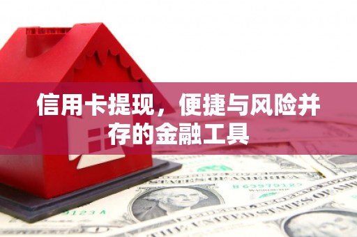 友谊信用卡提现，便捷与风险并存的金融工具