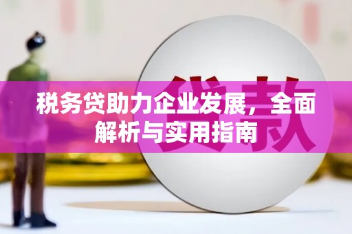 慈利税务贷助力企业发展，全面解析与实用指南