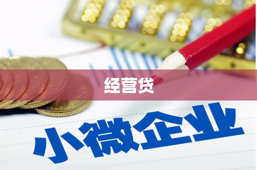 龙陵经营贷