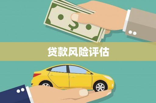 忻府贷款风险评估